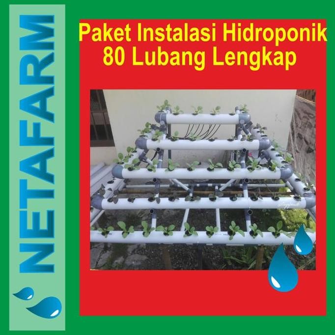 Paket Instalasi Hidroponik 80 Lubang REZ