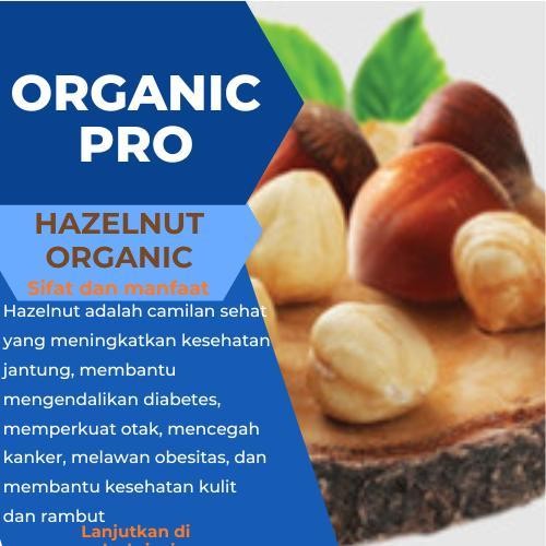 RAW HAZELNUT ,KACANG HAZELNUT MENTAH 1KG