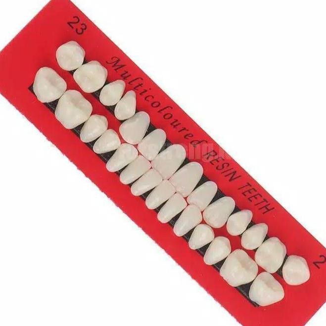 28 Pcs Gigi Palsu Resin untuk Penambal Gigi Ompong