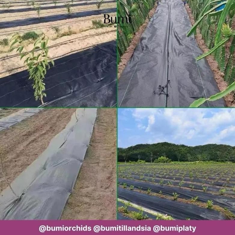 Promo Cod Bumi Orchids Paku Weedmat (1Pcs) 11 - 16 - 20 Cm Pasak  Plastik Penutup Mulsa Terpal Rumpu