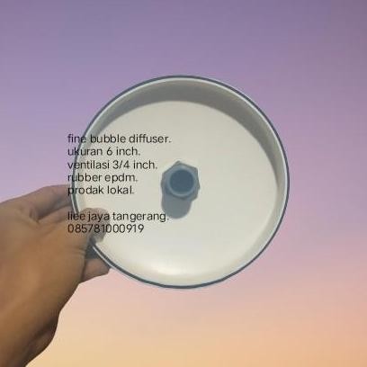 fine bubble diffuser