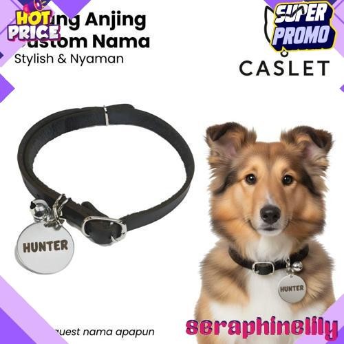 Ready Stock Kalung Anjing  Custom Nama Liontin Metal Kulit Premium