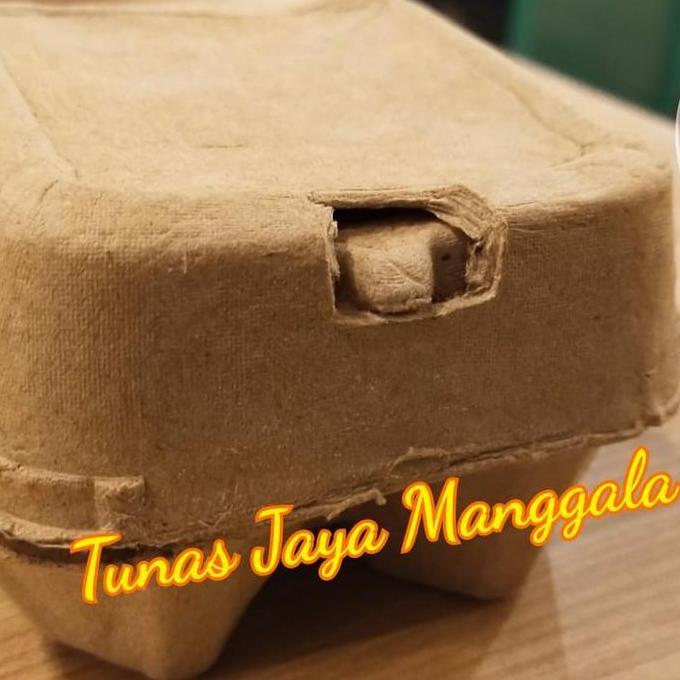 dBest- paper egg 4 lubang/tray kertas/ box kertas