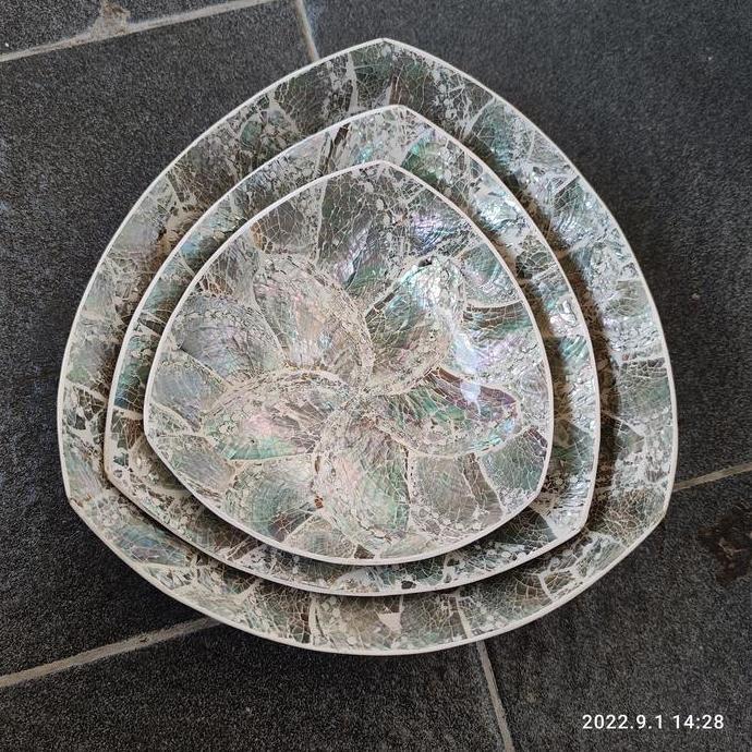 @@@@] shell plate abalone / piring kerang abalone ENAM