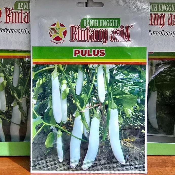 Promo Benih Terong Panjang Putih Pulus Cod