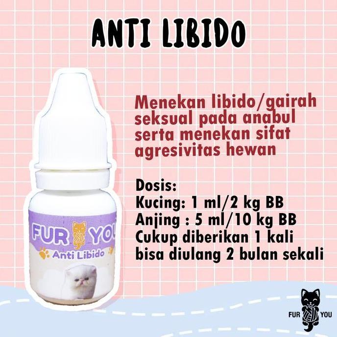 Ketty- Anti Libido Penurun Vitalitas Kucing