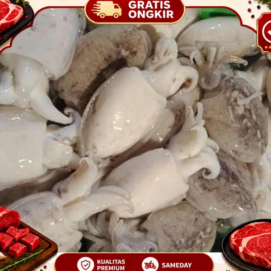 Cumi Sontong/Balakutak Segar 1Kg