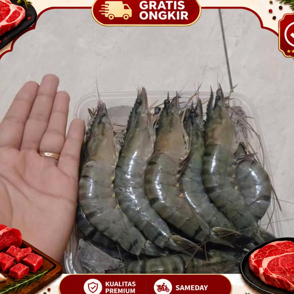 Udang Windu Size Besar 500Gr