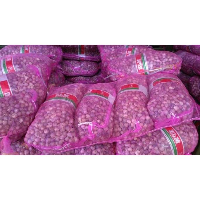Bawang putih tunggal bawang putih lanang