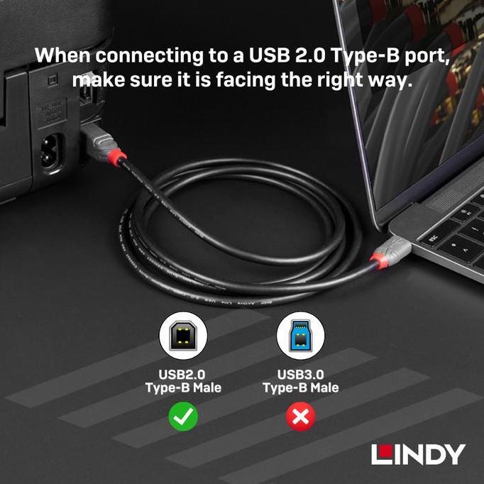 Kabel Printer & Audio Interface Lindy Usb 2.0 Type C To Type B Male To Male