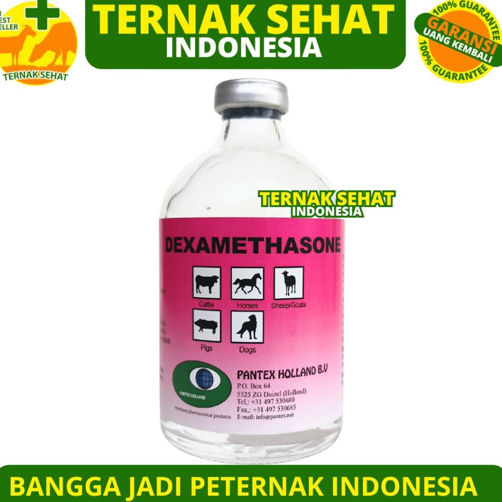 Ready Stok PANTEX DEXAMETHASONE 100 ML - Obat Hewan Anti Radang Anti Inflamasi Ternak Sapi Kambing A