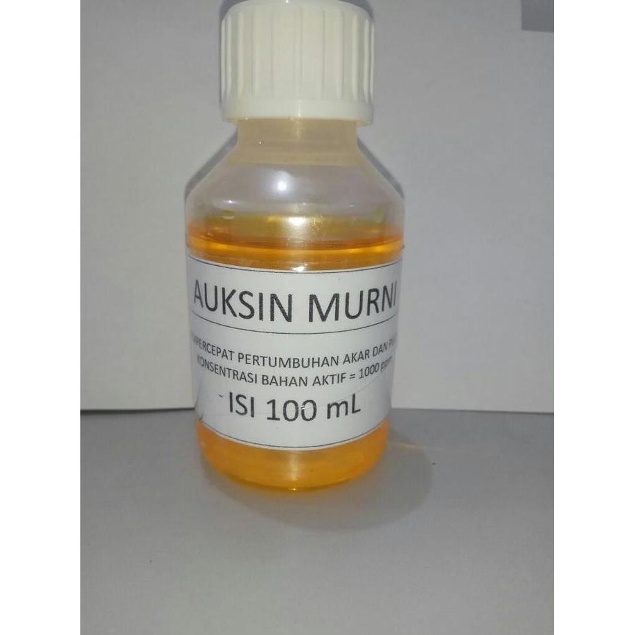 Newton- Hormon Tanaman Auksin