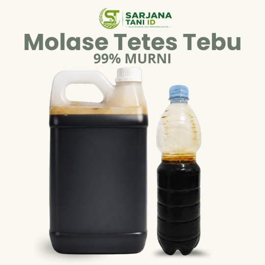 Molase Tetes Tebu untuk Pakan Ternak Sapi Kambing Ayam