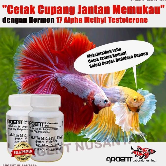 ALPHA METHYL TESTOSTERONE