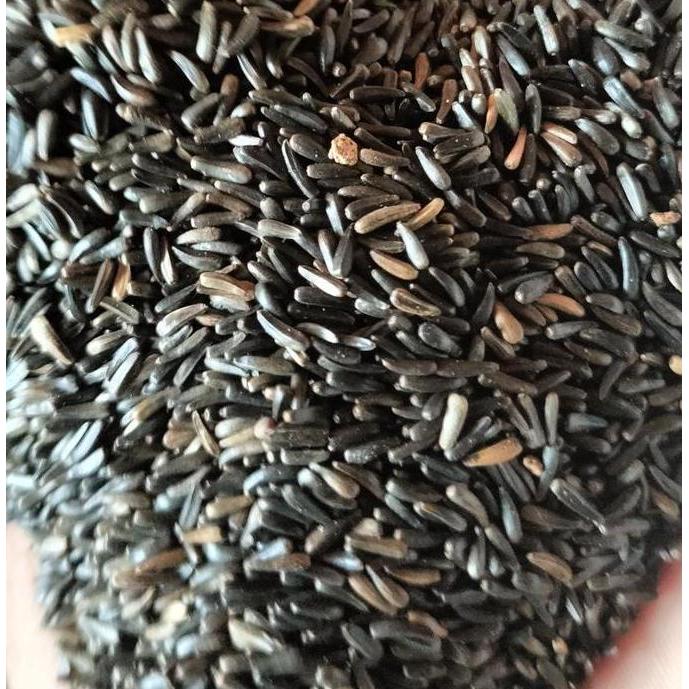 NIGER SEED PAKAN BURUNG KENARI FALK CAMPURAN PAKAN BURUNG PEMAKAN BIJIAN 1KG