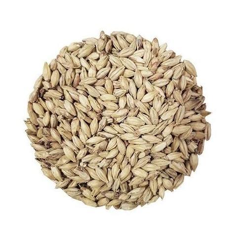 Produk Unggulan] Malt Chteau Munich 25 EBC