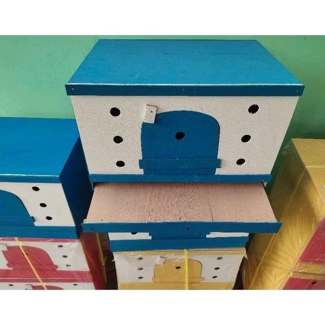 Gupon merpati rumah merpati burung dara bahan multiplek dua pintu