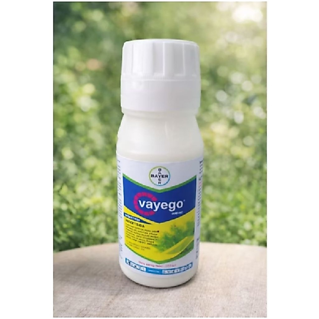 VAYEGO