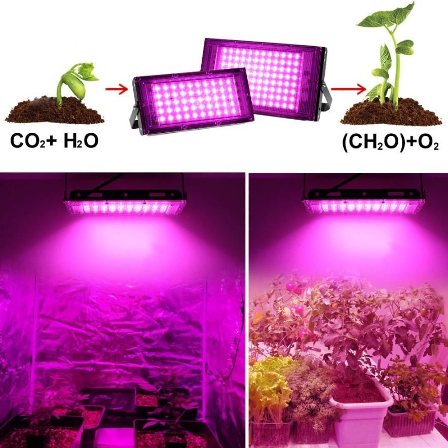 [ CHO ] lampu UV led tanaman sorot grow light hidroponik