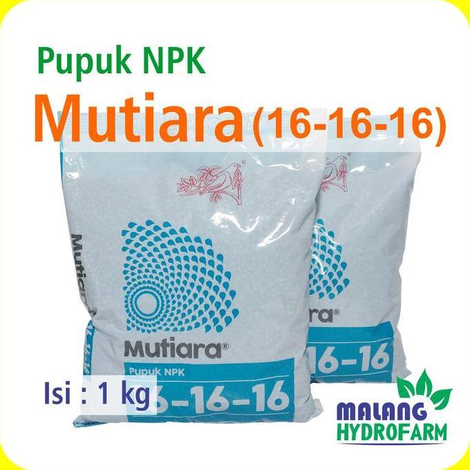 Pupuk Mutiara 16 - 16 - 16 1 Kg Pertanian Aglaonema Npk Pot Sayur Daun