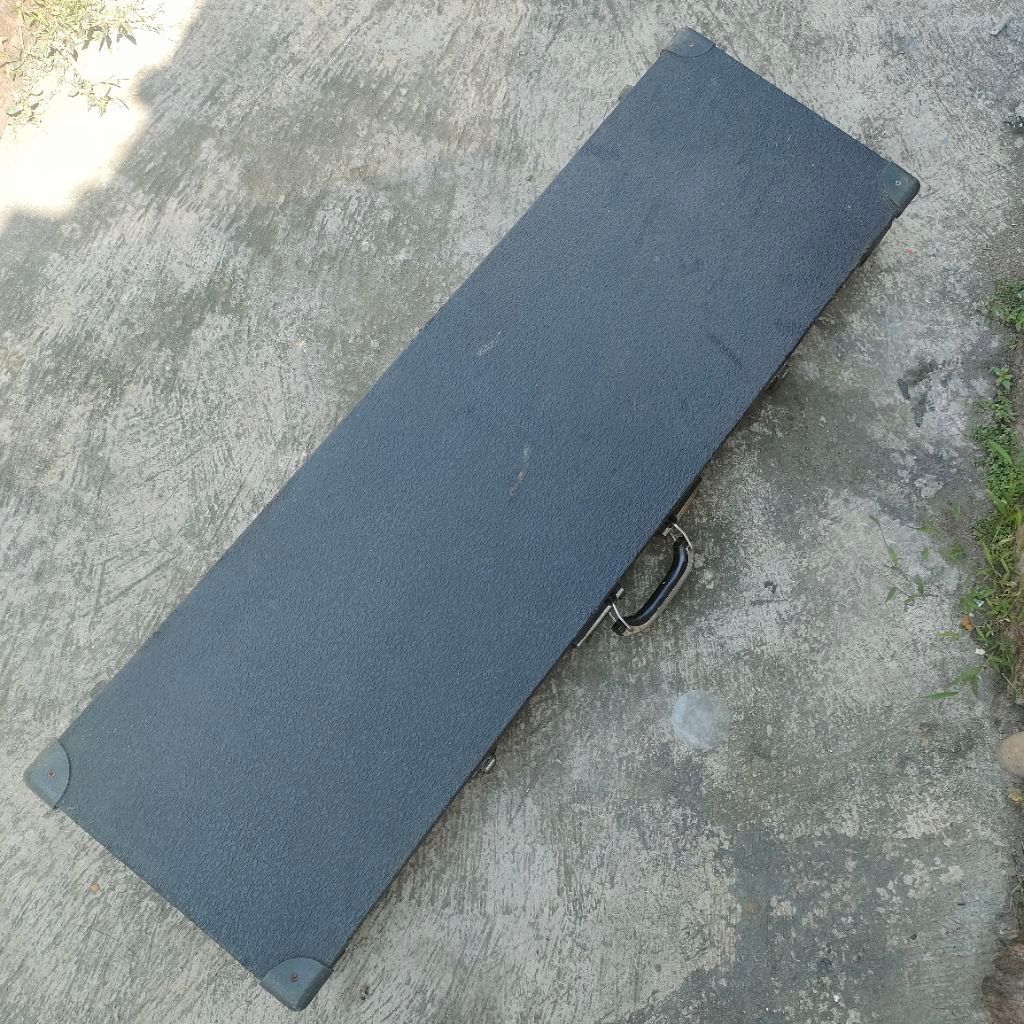 hardcase efek gitar bass pedalboard efek