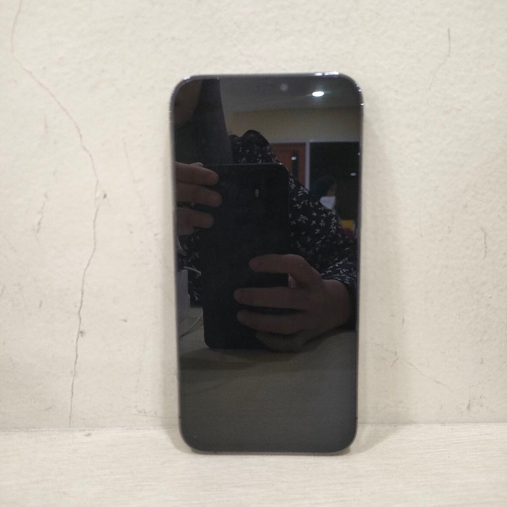 (1328-1) iPhone 12Pro Max Ram 256gb (Inter) Batangan No Charger 121328