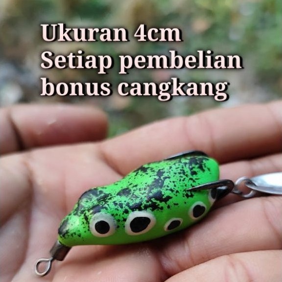 sofrog 4cm bonus body