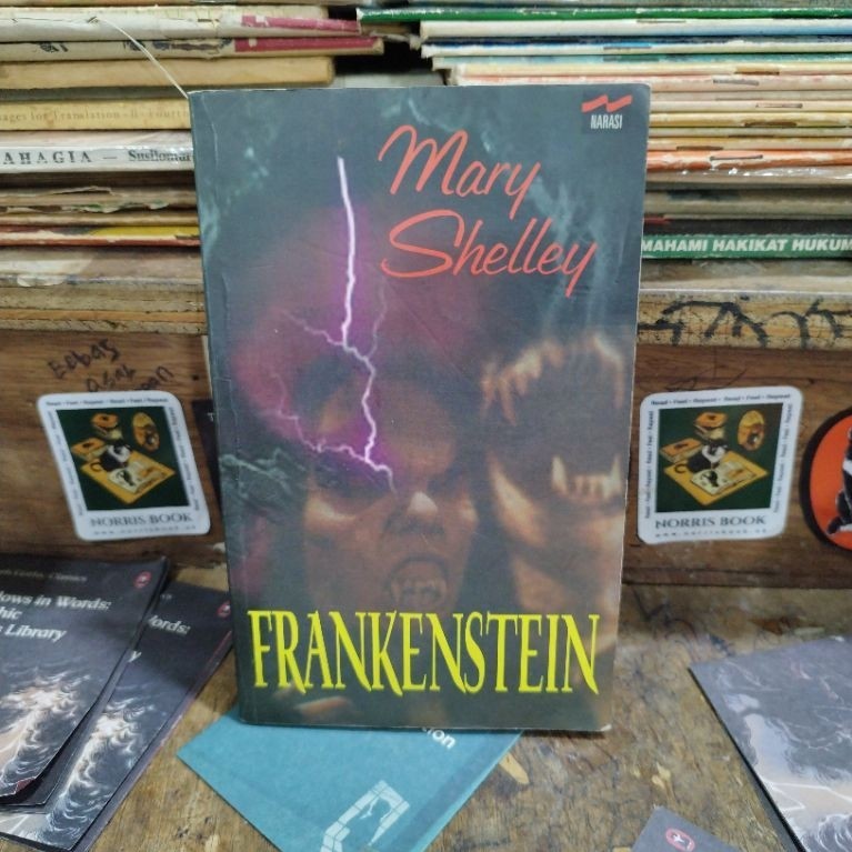 Frankenstein - Mary Shelley