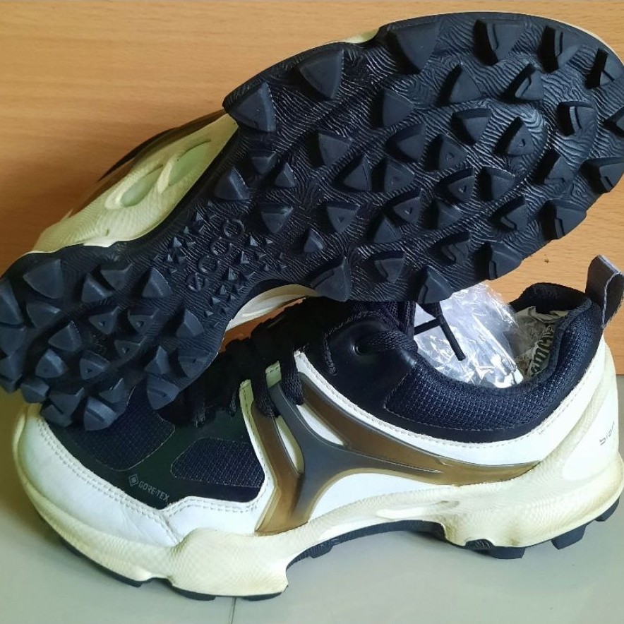 Sepatu Ecco Biom 40
