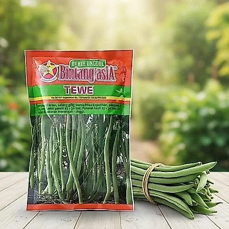 Benih Buncis TEWE 500 Gram Bintang Asia