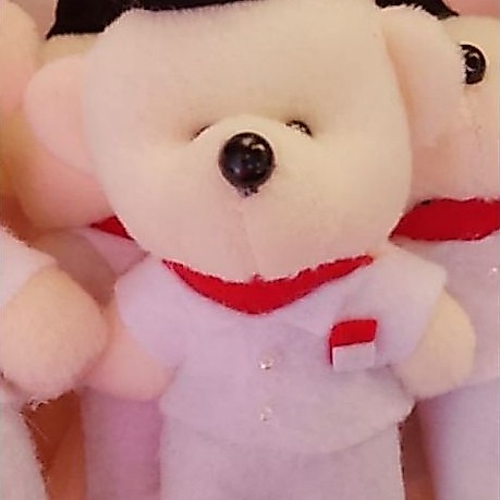 Boneka beruang paskibra 10cm