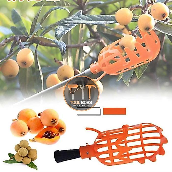 Sekop Pemetik Buah - Fruit Picker