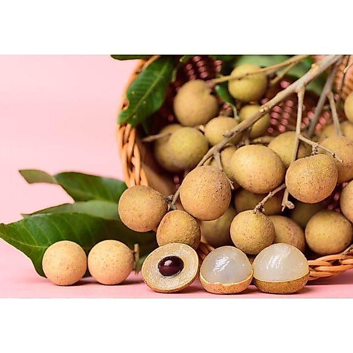 New Pupuk Booster Kelengkeng Cepat Besar, Pupuk Plus GA3 Sebagai Zat Pengatur Tumbuh,  Pupuk Anti Ja