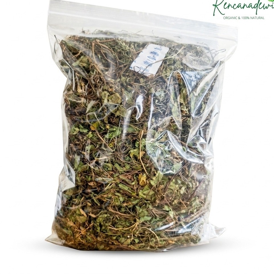 Pegagan Kering – Centella Asiatica - Daun Pegagan Kering | Herbal Kering Pilihan