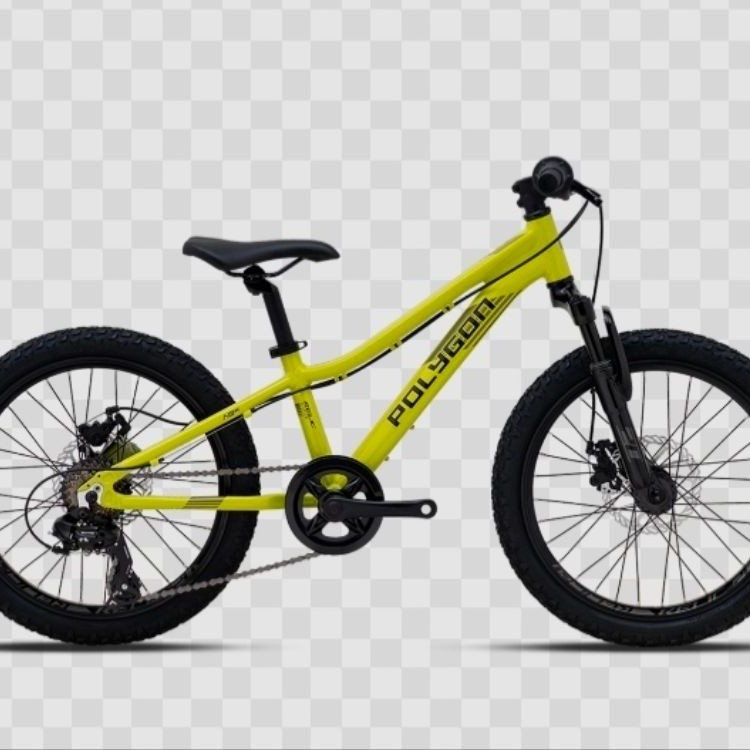 Sepeda MTB Polygon Relic 20 Inch