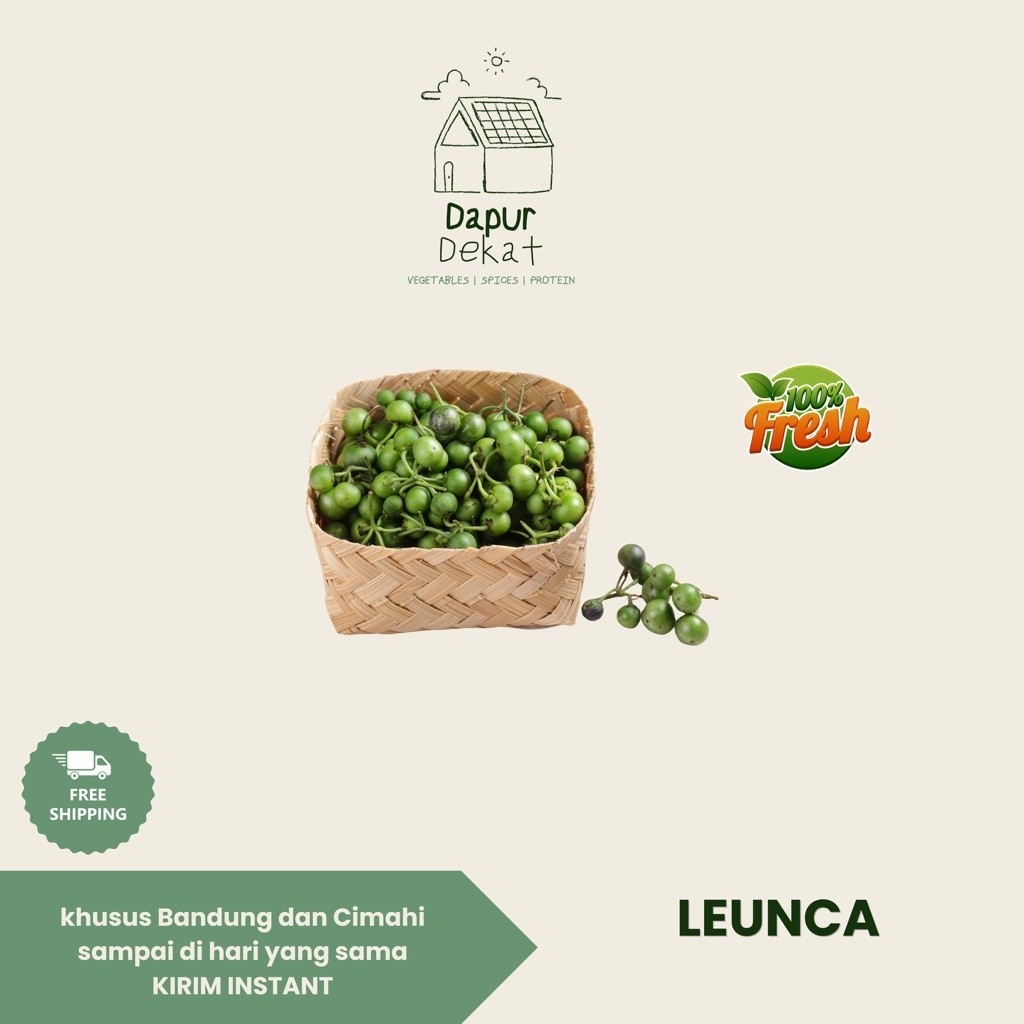 Leunca 250gr | Leunca Hijau | Leunca Ungu Instant Bandung Cimahi