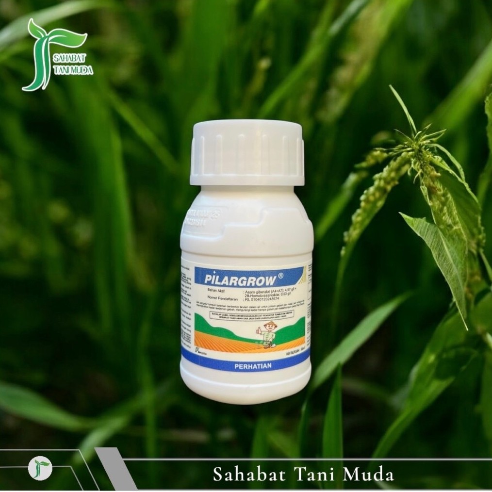 PILARGROW ZPT (GA4+GA7) + Homobrassinolide kemasan 50ml