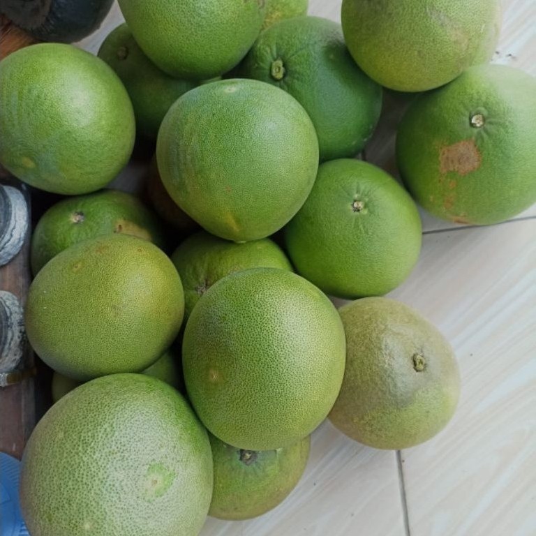 buah jerukk pamelo madu pati  manis segar 700g