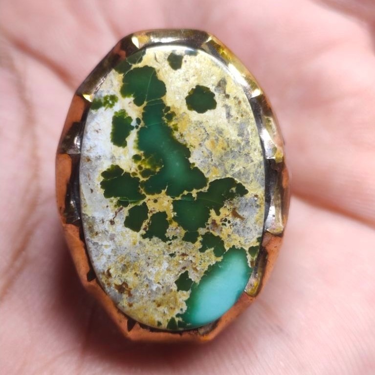 natural pirus Persia ijo dondong ceplok