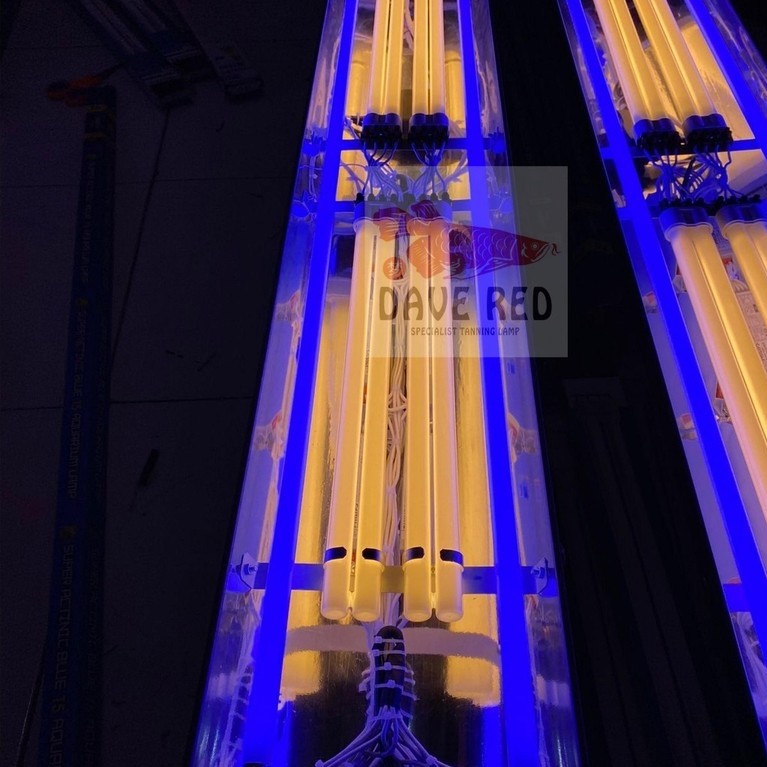 2 Aquazonic 4 PLL Lampu Tanning Arwana Super Red