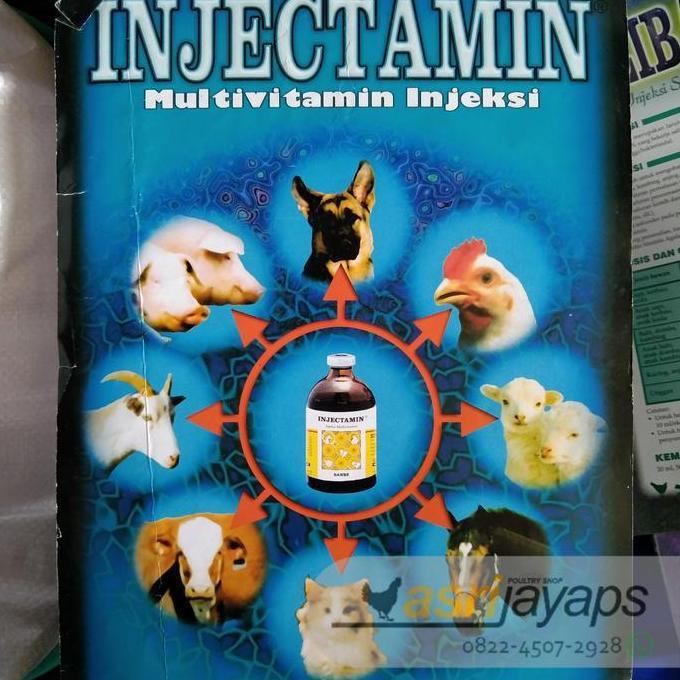 Obat Multivitamin Hewan INJECTAMIN 100 ml Sanbe