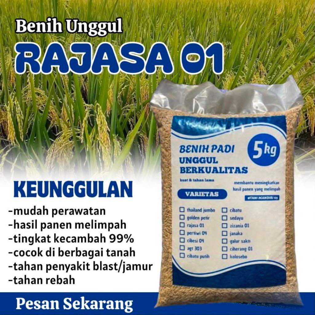 Benih padi RAJASA 01 original kemasan 5kg
