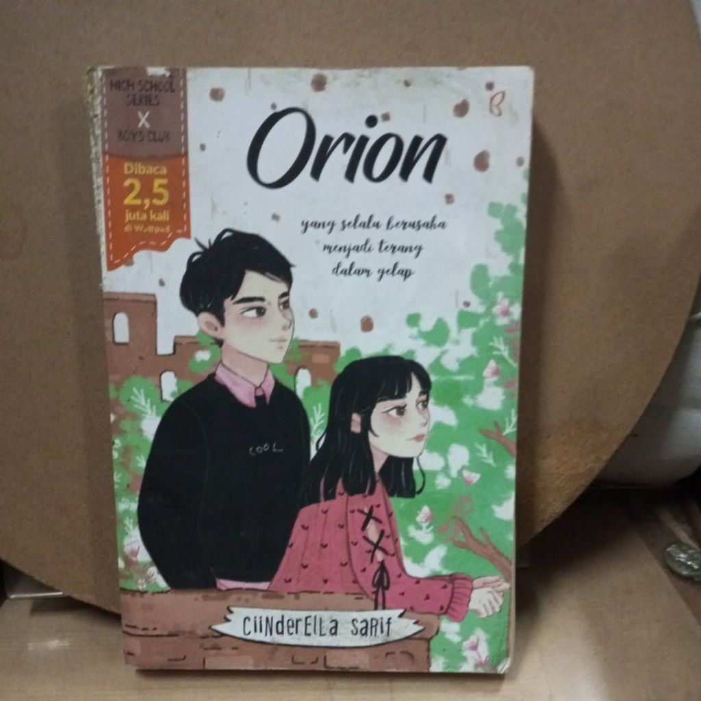 novel , orion ,yang selalu berusaha menjadi terang dalm gelap oleh cinderella sarif