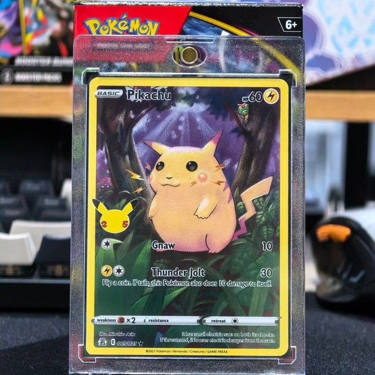 Pikachu Hutan 25th