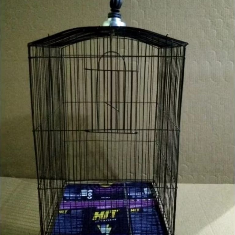 kandang/sangkar burung kutilang,pentet,terucukan UK,30cmx46cm