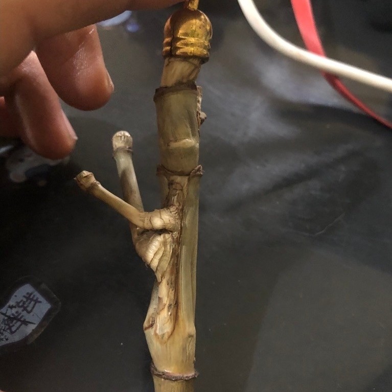 liontin bambu petuk jalu