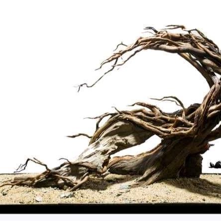 HARDSCAPE AQUARIUM AQUASCAPE HIASAN AQUARIUM AQUASCAPE ELEGAN AQUARIUM AQUASCAPE SHOOT HARDSCAPE AQU