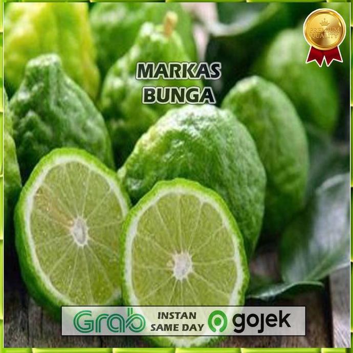 Fruits- Jeruk Purut / Jeruk Purut Jantan Betina / Jeruk Nipis Per 1 Kg