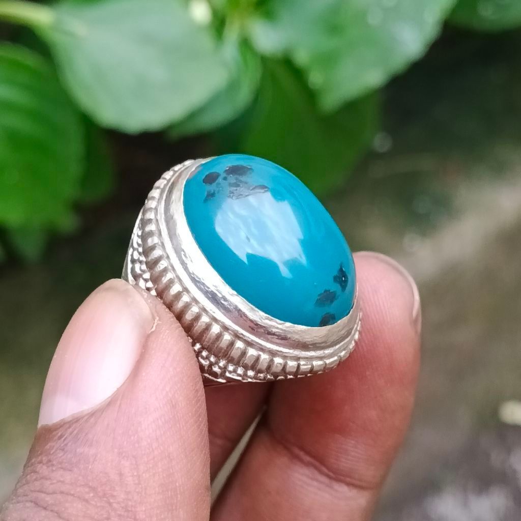BACAN DOKO | BACAN DOKO MURAH