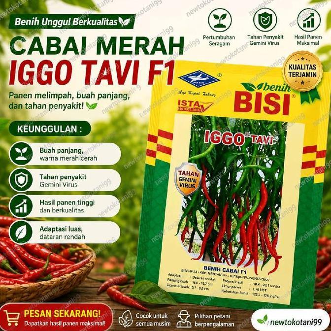 Benih Cabe Iggo Tavi 10 Gram Benih Cabe Keriting Hibrida Iggo Tavi Dari Bisi Cap Kapal Terbang 10Gra